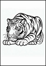 Tigers - Animals2