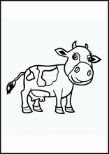 Cows - Animals7