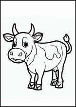 Cows - Animals8