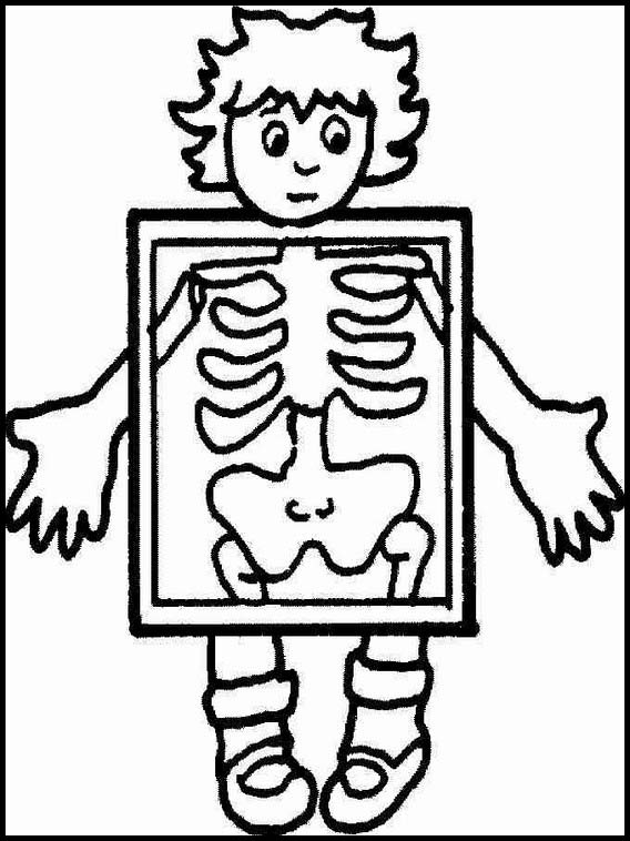 Human body coloring pages 14