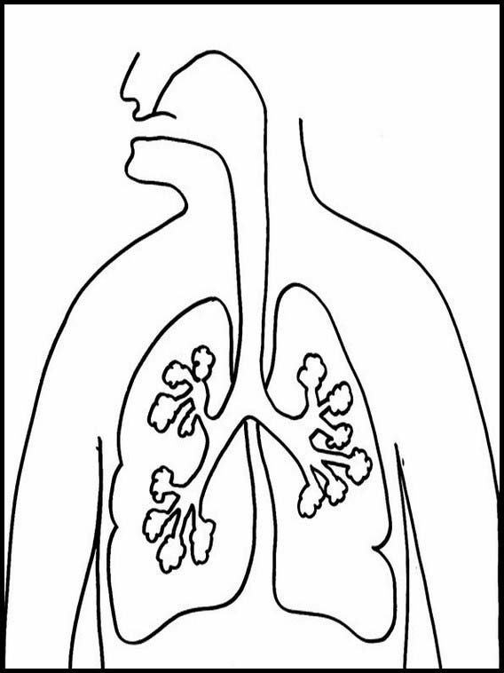 Human body coloring pages 5