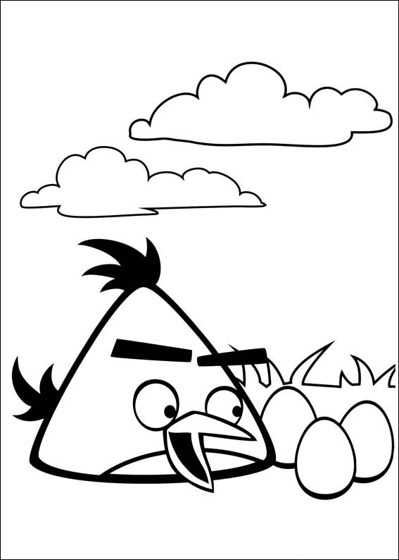 Angry Birds 57