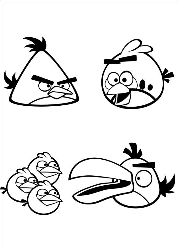Angry Birds 77