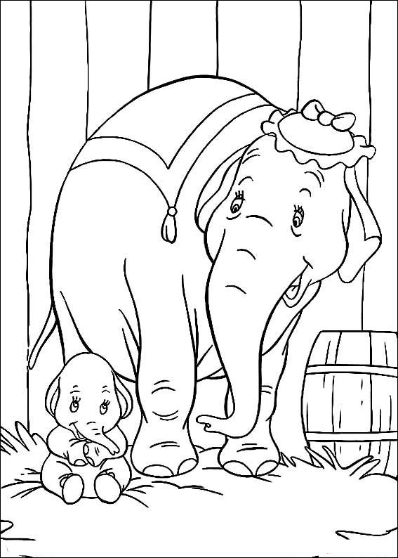 Dumbo 11