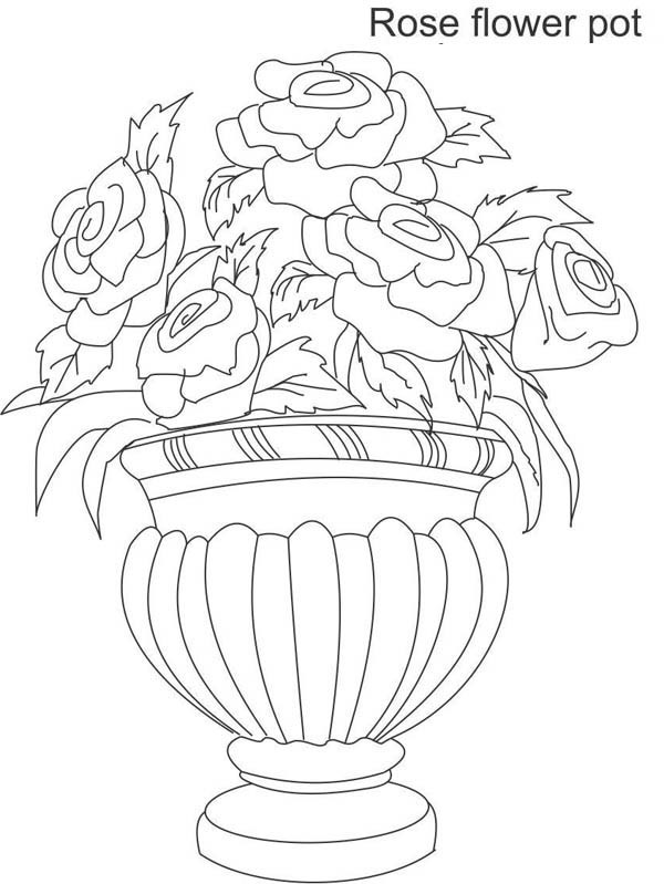 Flower Vases 2