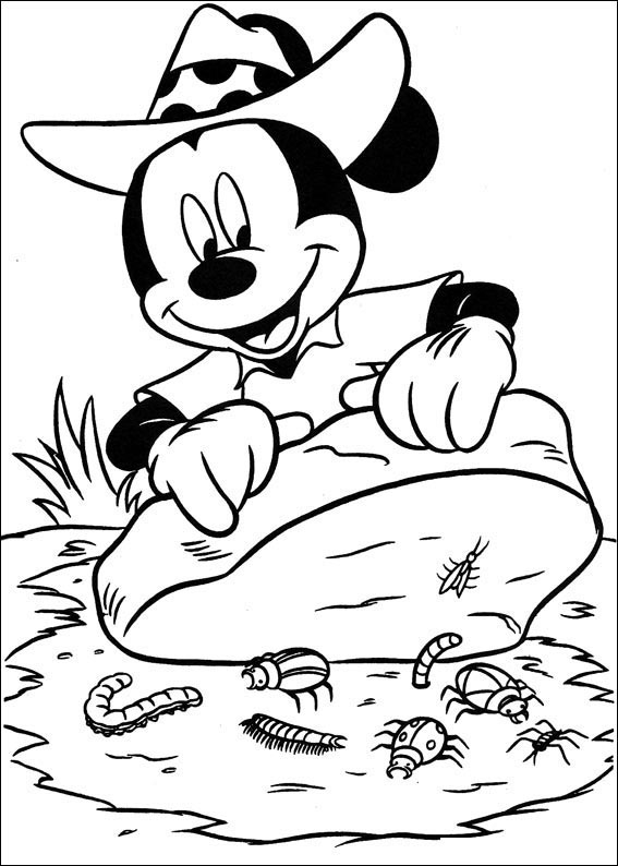 Mickey Mouse 53