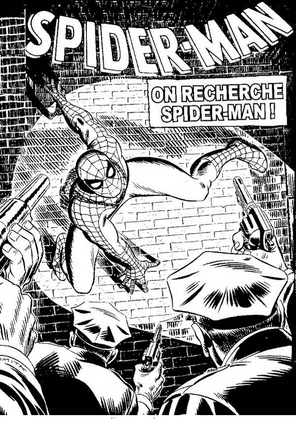 Spiderman 4