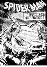 Spiderman4